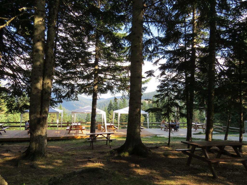 Jura Hotels Ilgaz Mountain Resort Luaran gambar