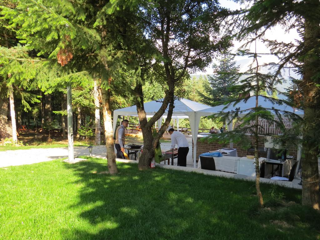 Jura Hotels Ilgaz Mountain Resort Luaran gambar