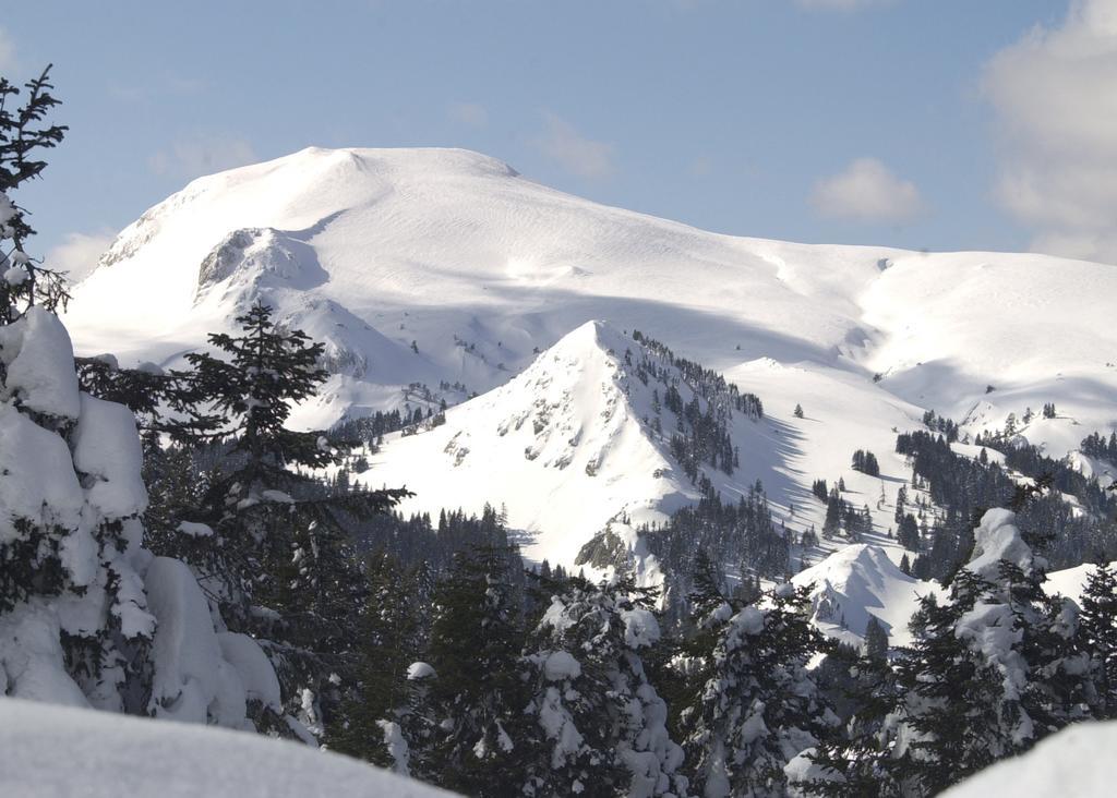 Jura Hotels Ilgaz Mountain Resort Luaran gambar