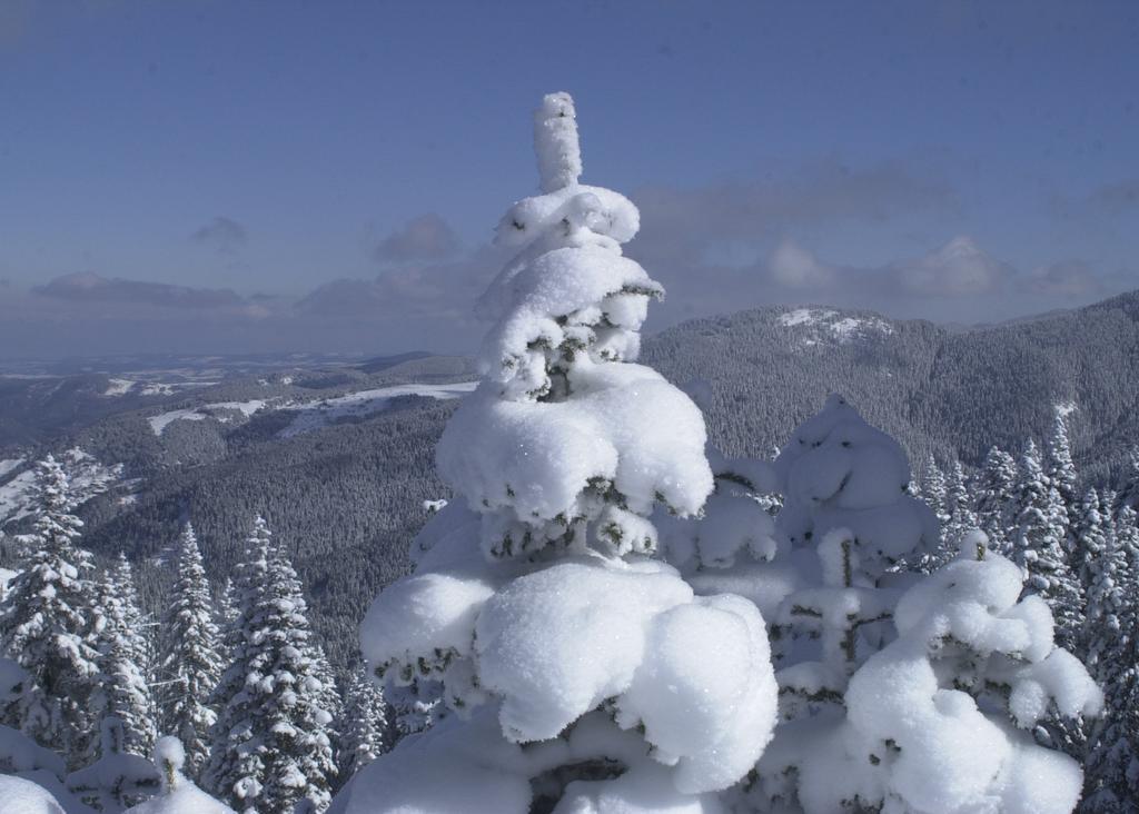 Jura Hotels Ilgaz Mountain Resort Luaran gambar