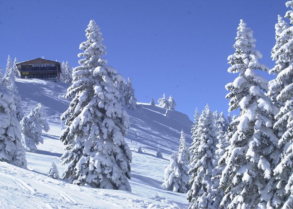 Jura Hotels Ilgaz Mountain Resort Luaran gambar