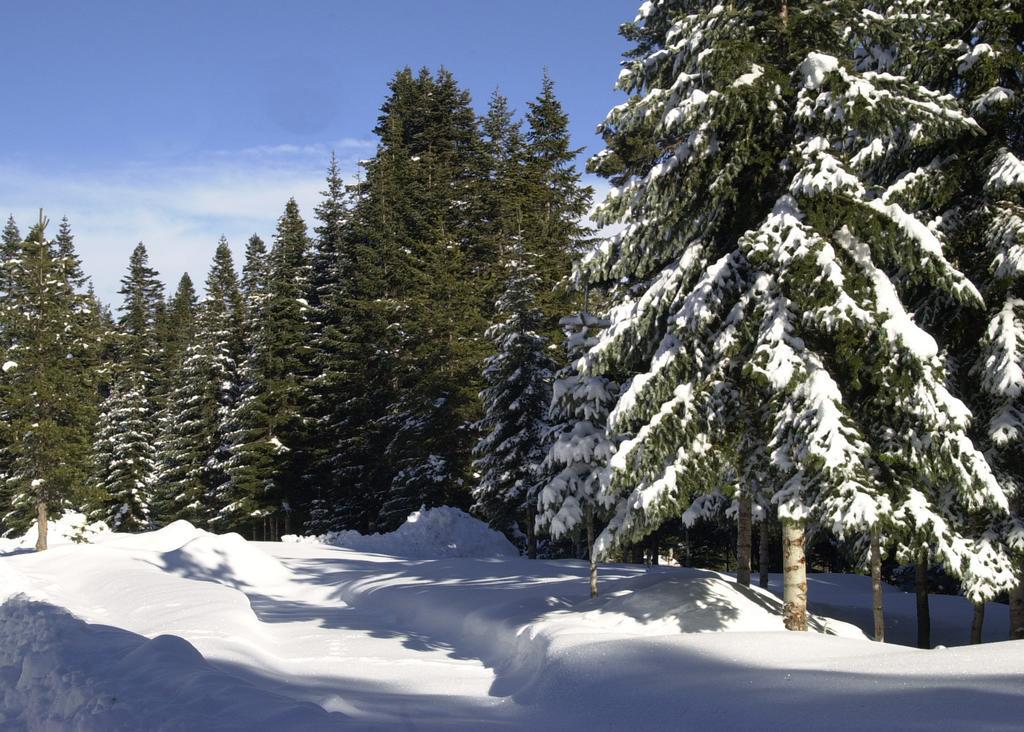 Jura Hotels Ilgaz Mountain Resort Luaran gambar