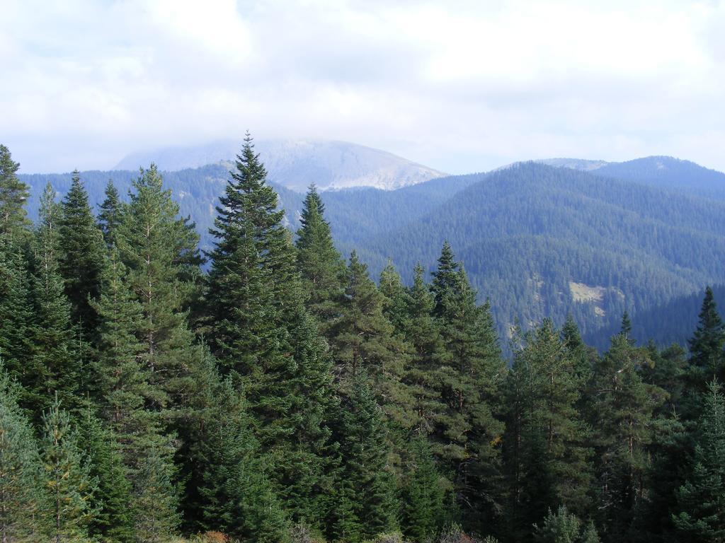 Jura Hotels Ilgaz Mountain Resort Luaran gambar
